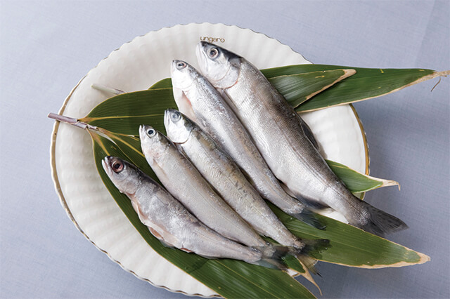 Himemasu (Kokanee) in Lake Motosuko