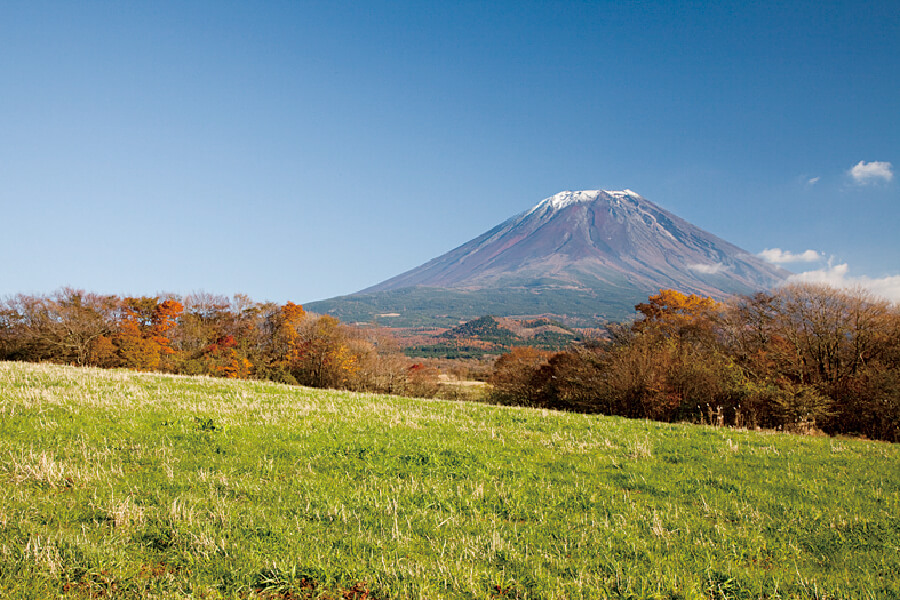 富士ヶ嶺高原