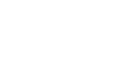 A story of forest