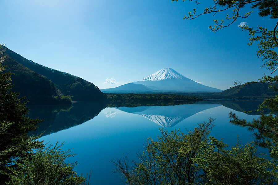 Mt. Fuji designed on 1,000-yen bill (Lake Motosuko)