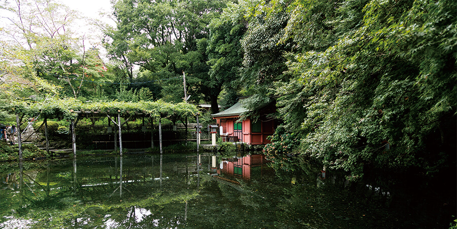 Wakutamaike Pond